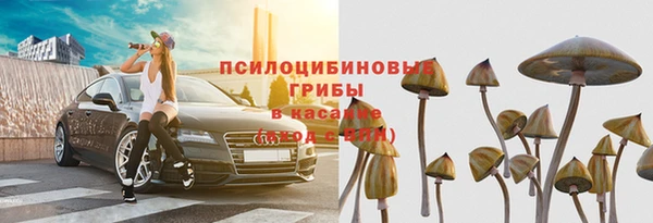 ПСИЛОЦИБИНОВЫЕ ГРИБЫ Алексеевка