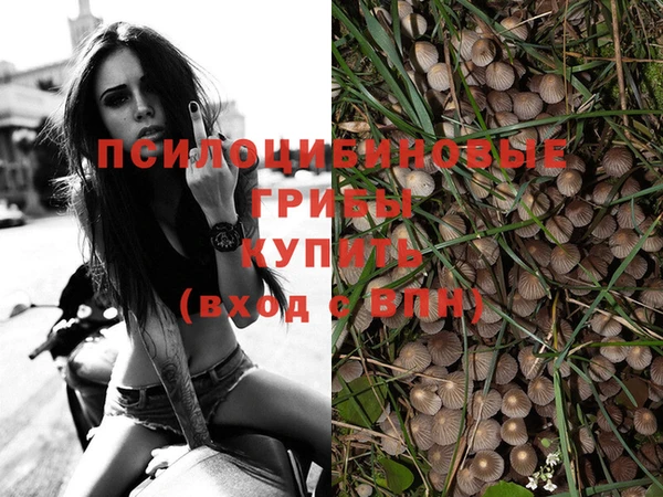 ПСИЛОЦИБИНОВЫЕ ГРИБЫ Алексеевка