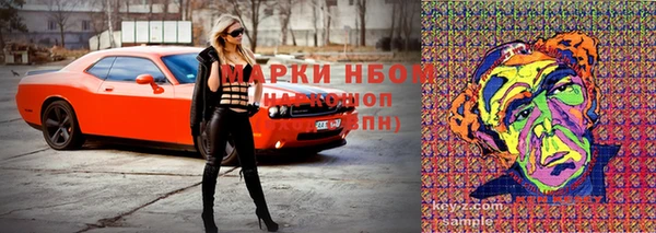ПСИЛОЦИБИНОВЫЕ ГРИБЫ Алексеевка