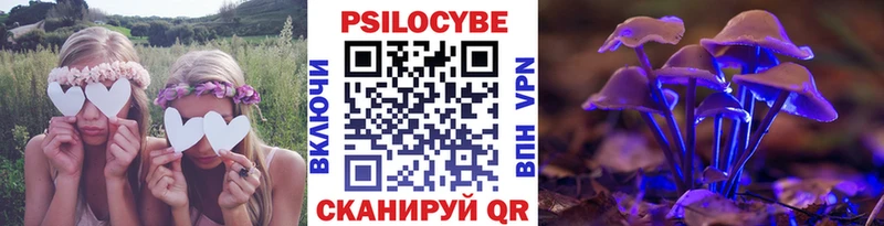 Псилоцибиновые грибы Cubensis Хвалынск
